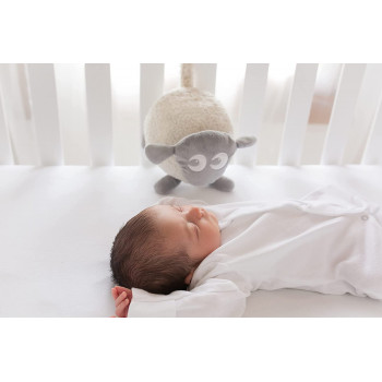 ewan the dream sheep - In Grey