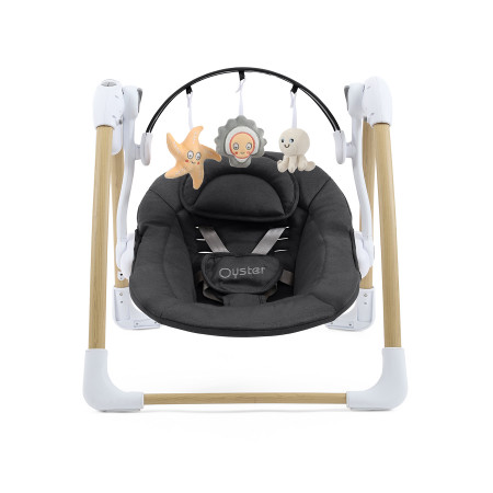 BabyStyle Oyster Swing - In Carbonite