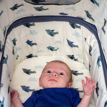 Cosatto Giggle 4 Special Edition [Everything Bundle] - In Skylark