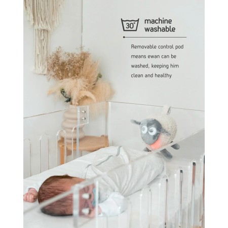 ewan Deluxe - In Grey